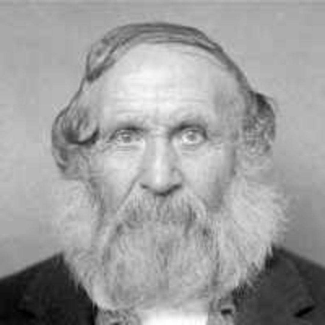 William Theobald (1813 - 1895) Profile